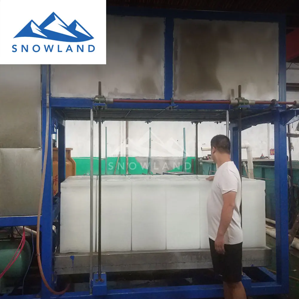 germany ice maker with 4 ton capacity block ice