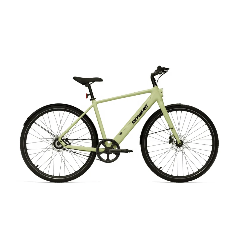 Chinese Wholesale Electric City Bikes With Aluminium Rim