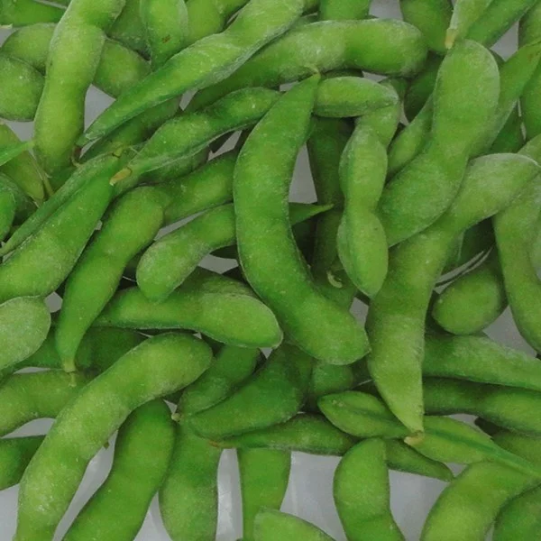 Hot product supply BRC approved IQF frozen organic edamame / frozen soy bean kernels