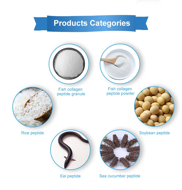 Bulk Private Labels Gold Standard 100% pure fish collagen peptide powder Original flavor no add Protein  Powder