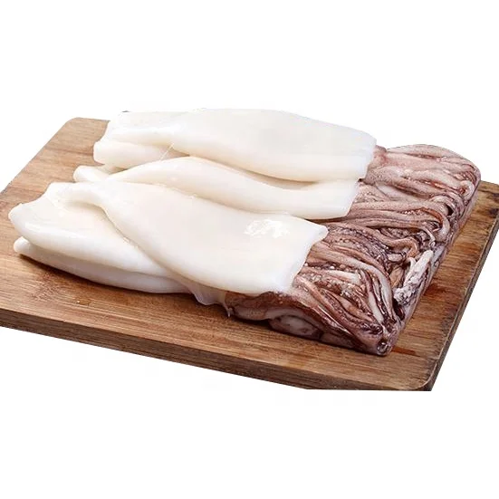 Wholesale high quality loligo squid frozen