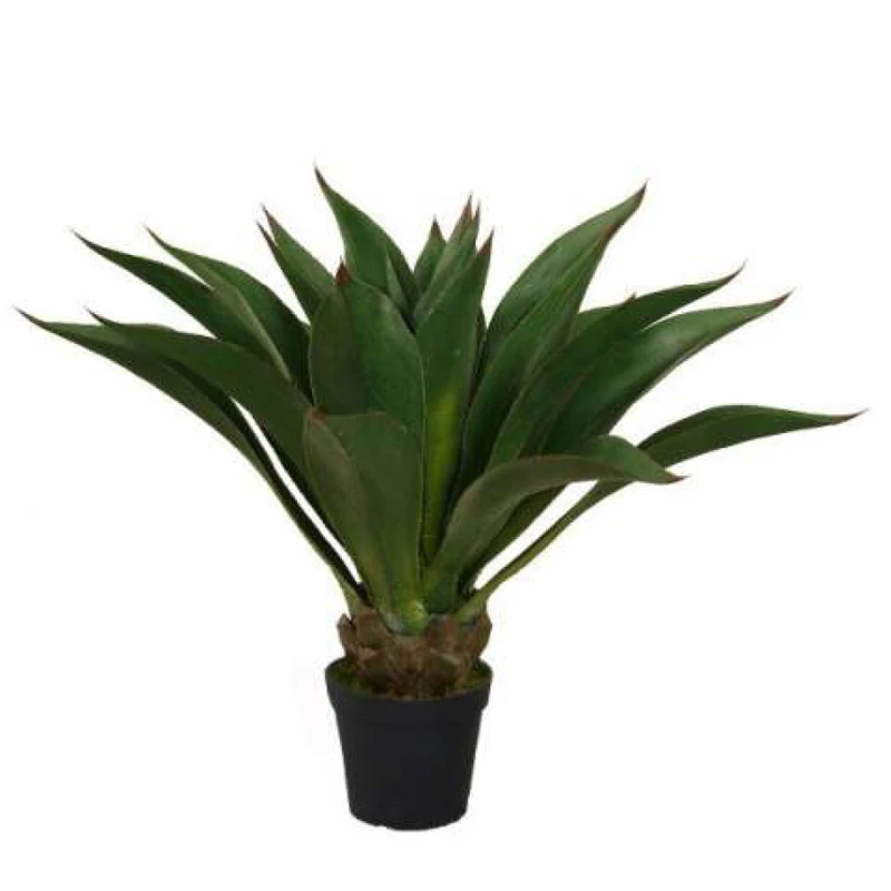 Распродажа дешевые растения в горшках Sansevieria trifasciata для домашнего декора бонсай искусственная змея