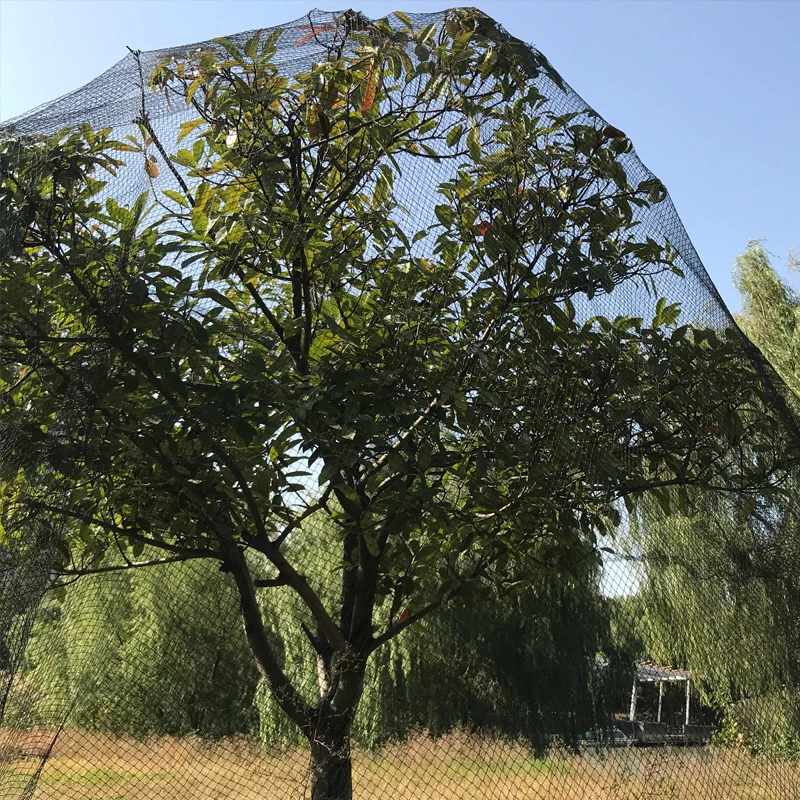 hot selling heavy duty knotless black anti bird netting vineyard plastic net agricultural cover net