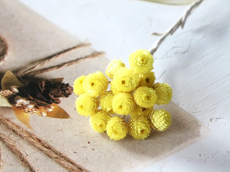 High Quality 100g/Pack Dried Flowers Yellow Helichrysum Italicum Flower Dried Chrysanthemum Flower Bouquet
