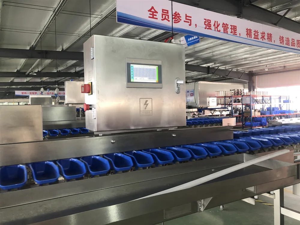 Farm processing machine shrimps fish crab weight sorting and grading machine