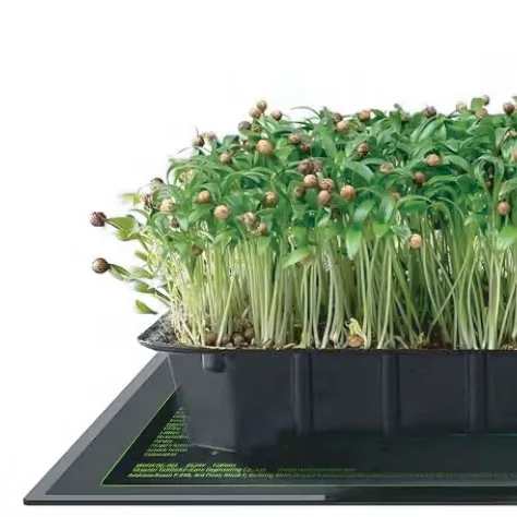 Orchid Heating Pad Low-Pressure Waterproof Plastic Insulation for Seedling & Climbing Pets Growing  systems