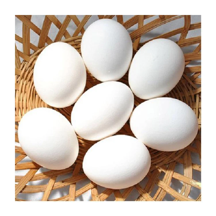 High Quality Fresh Table Eggs and Non - Fertile Eggs Cheap Price from India With Best Custom Packing products