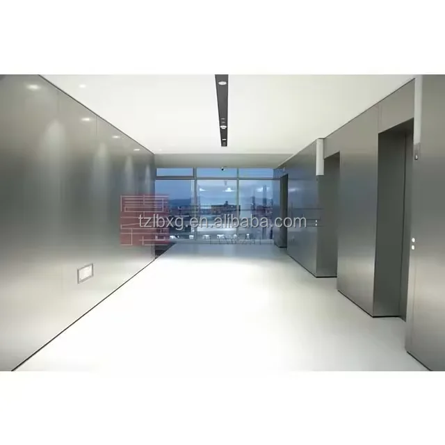 TZL Stainless Steel Brushed Board Color Furniture Steel Plate  KTV Ceiling Hotel Clubhouse Background Wall Decorative Board