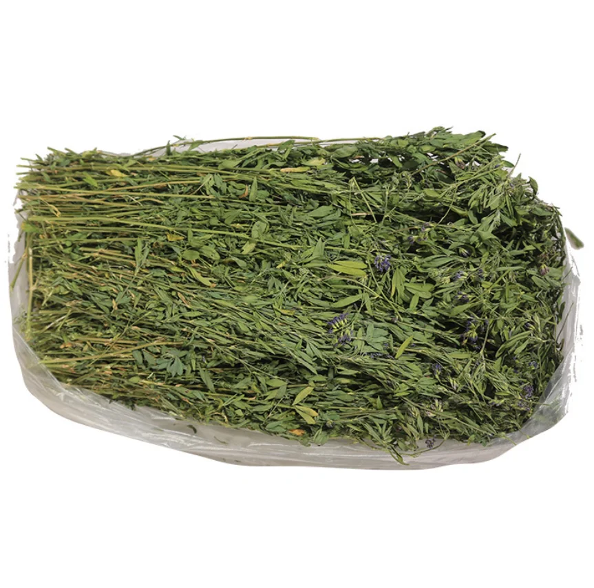 1kg Premium quality green hay animal feeding stuff new dried Alfafa