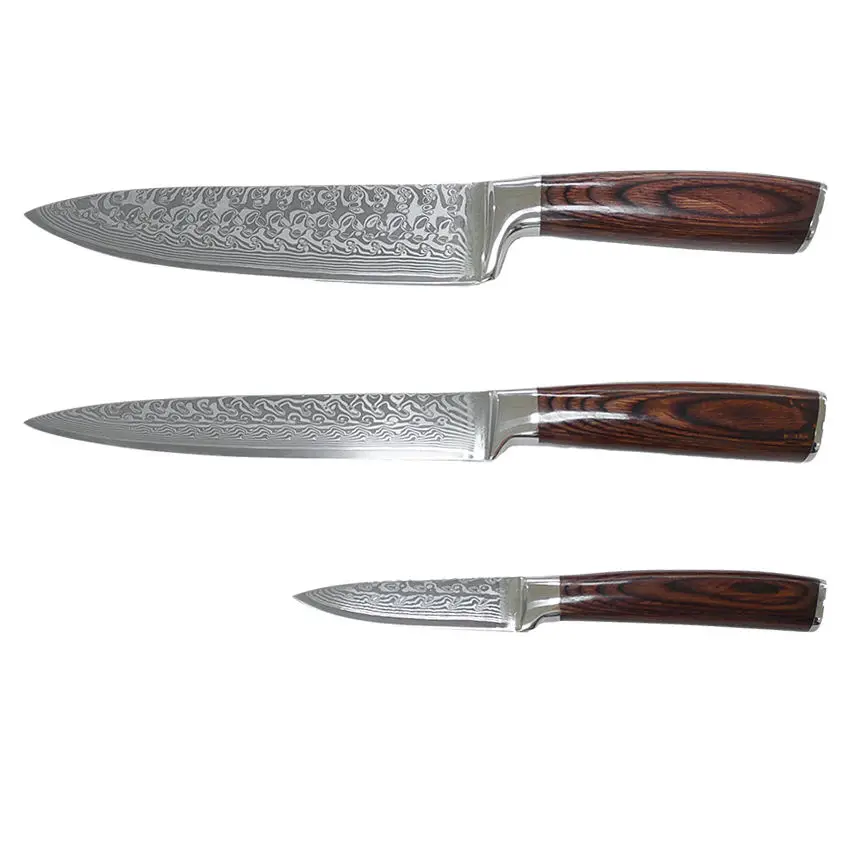 High Quality Damascus Steel Kitchen Knife Set 67 Layers with Resin Handle Favorable Price Japanese Style