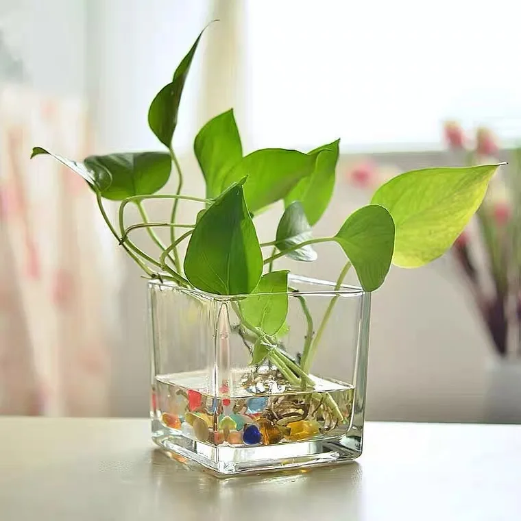 In Stock Simple Decorative Table Cube Plant Flower Vases Clear Square Heavy Flower Glass Vase