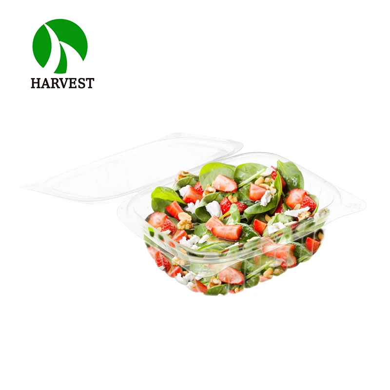 Plastic Takeaway Vegetable Salad Packaging 48 Oz Disposable Clamshell Hinged Food Containers