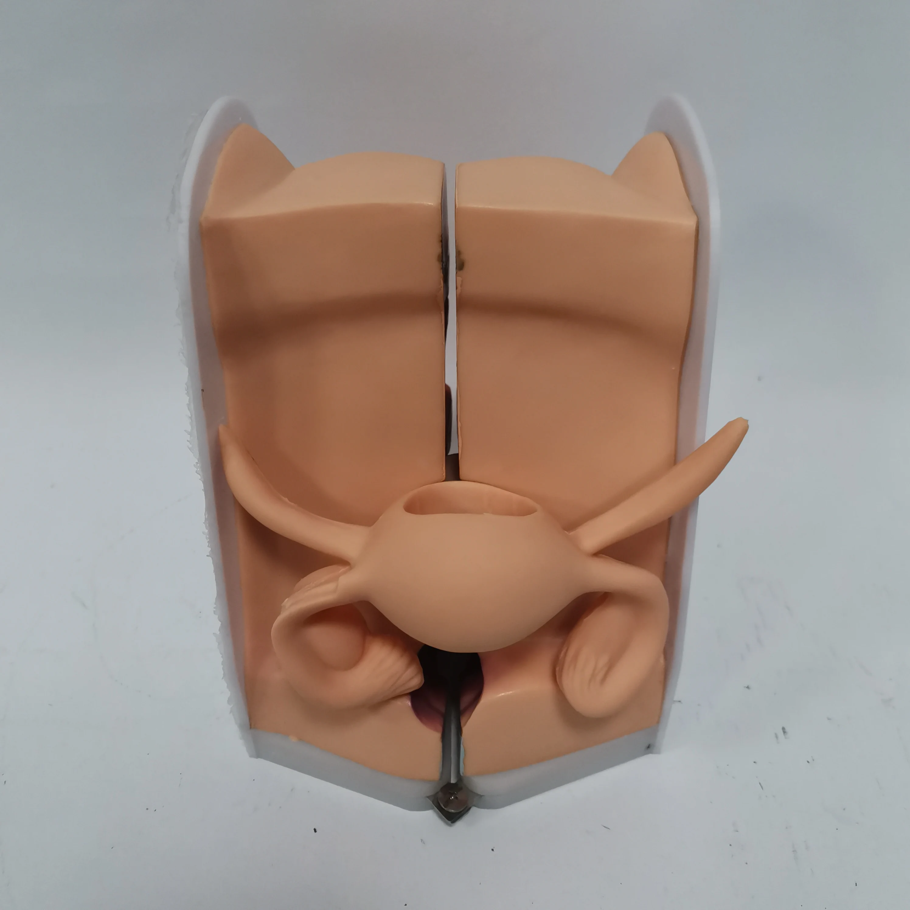 medical science subject Simulator Medical Teaching Series Child Birth & Fetus Contraception Guidance Model