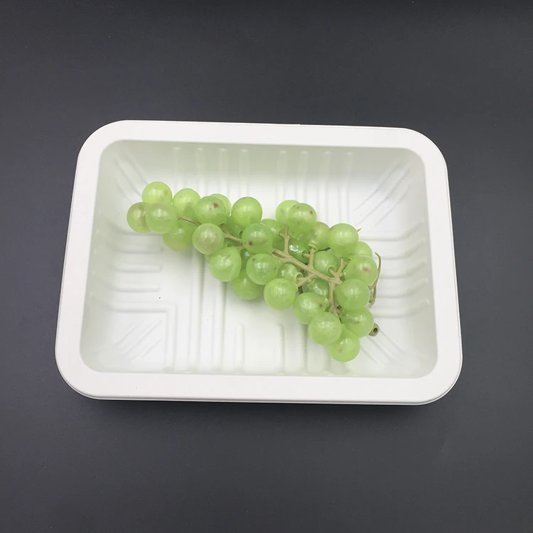 Custom Biodegradable Corn Starch Packaging Tofu Food Tray
