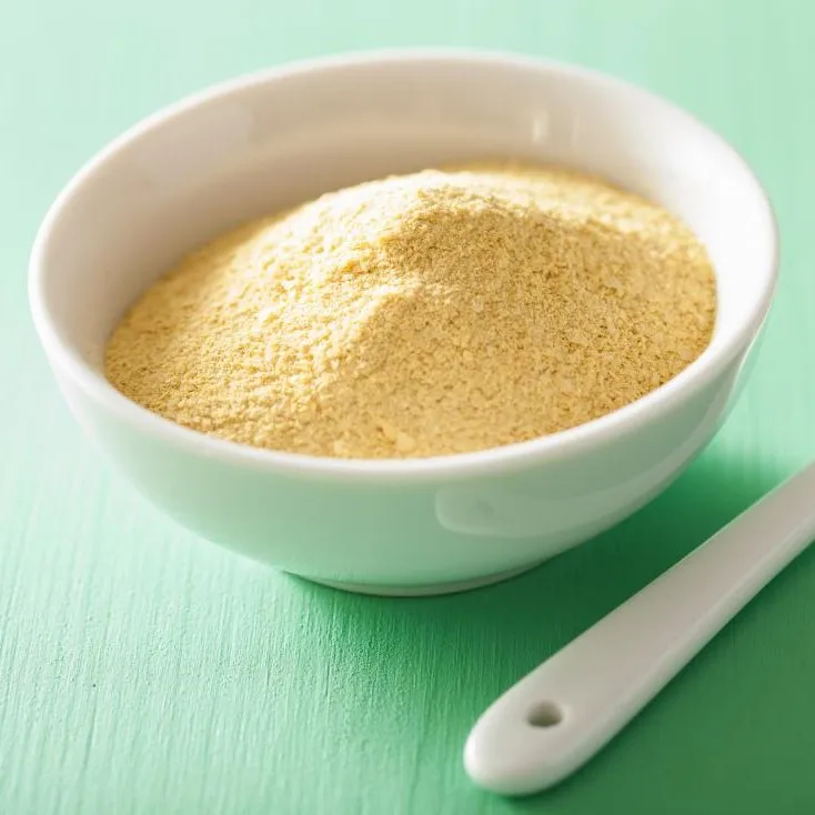 High quality High Protein 60% Best Selling Extract From fresh Yeast powder