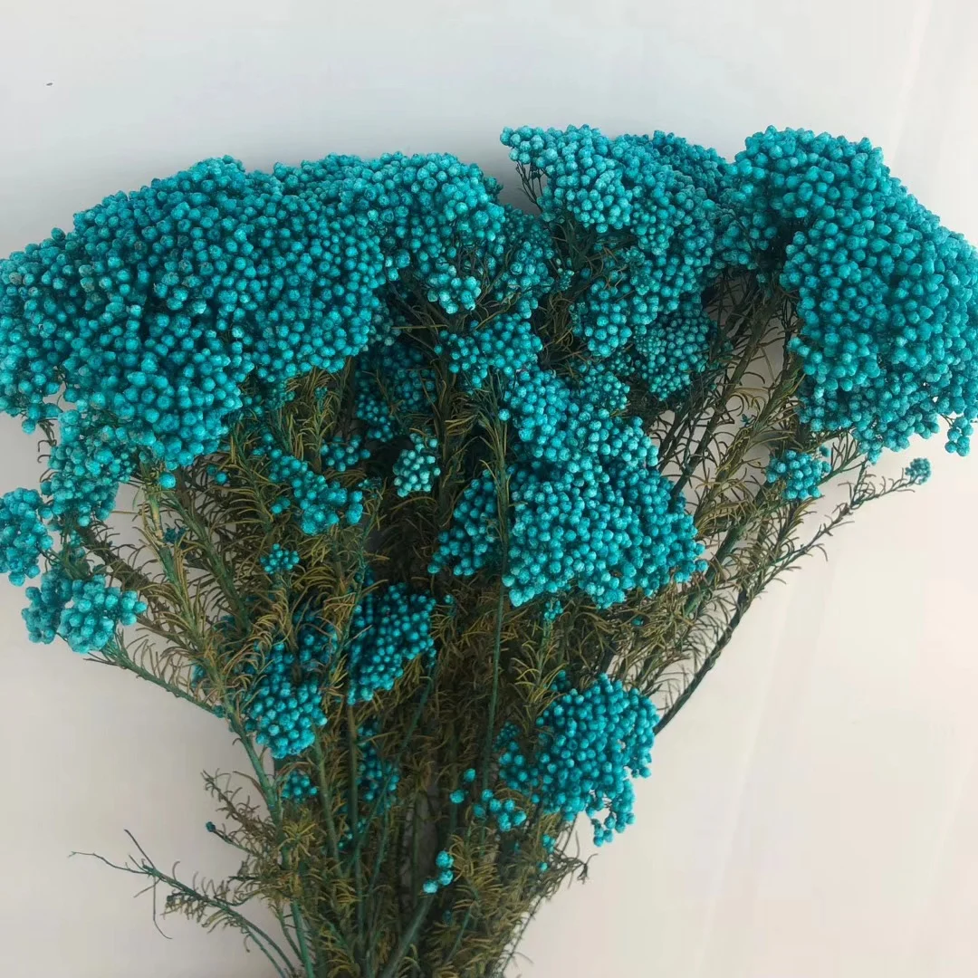 Dry Rice flower preserved millet flower bouquet wholesale