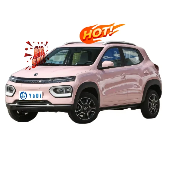 Dongfeng Nano box High Cost Performance Small SUV Lithium Iron Phosphate Battery New Energy Electric Vehicle