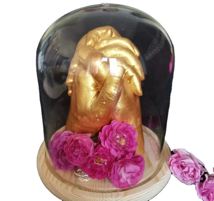 casting plaster alginate impression powder