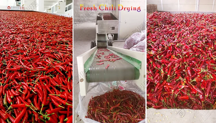 Shouchuang New Type Vegetable and Fruit Drying Machine Hot-air Dryer Mesh Belt Dehydrator Machine