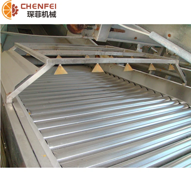 
High Quality Olive Sorting Machine for Sale Multifunctional Sorting Conveyor Machine with the Lowest Price 