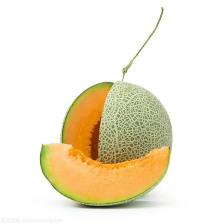 
Best Price Sweet Crispy Delicious Fresh Cantaloupe Melon 