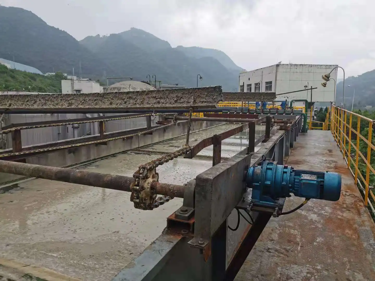 Nitrifying bacteria  aerobic bacteria Microbial species factory supply