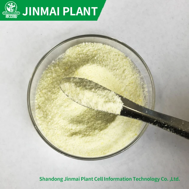 100% Soluble NPK Compound Fertilizer NPK 20-20-20+TE For All Crops Vegetables