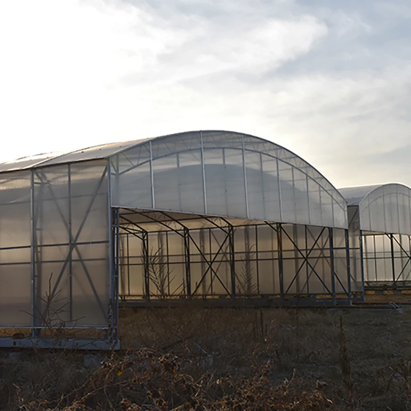 Agriculture Industrial Tunnel Greenhouse with Strong round Arch Economically Viable Plastic Film Greenhouse Structure