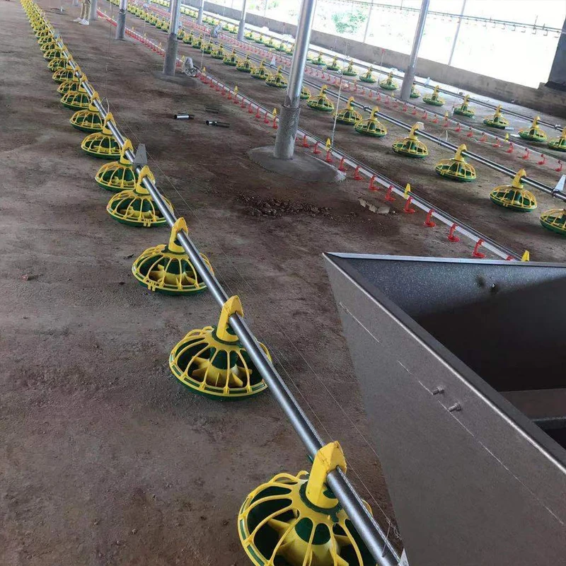 broiler breeer Chicken Feeding Water Drinking System Pan Feeding System