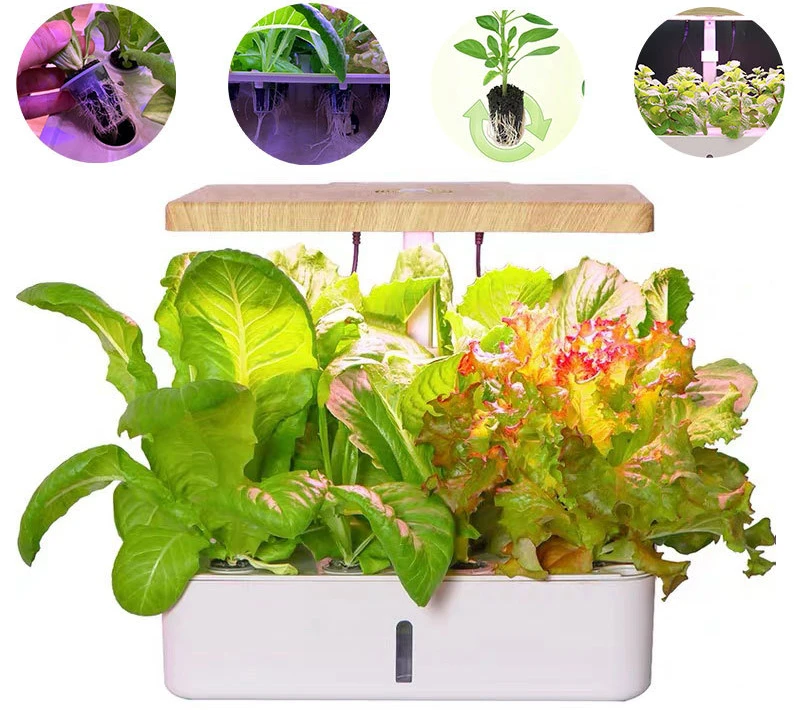 
12 Holes Smart Hydroponic Kits With LED Lights Indoor Intelligent Planting Vegetable Flower Fruit 