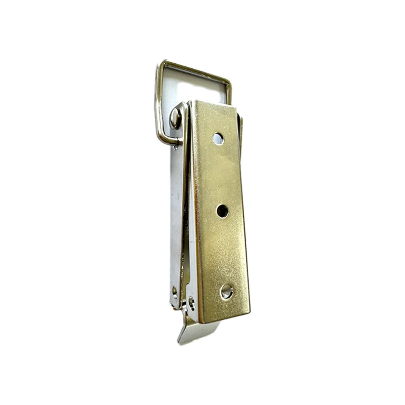 Quality Special 304 Stainless Steel Marine Hardware Rotomold Case Latch Toggle Clamp Latch