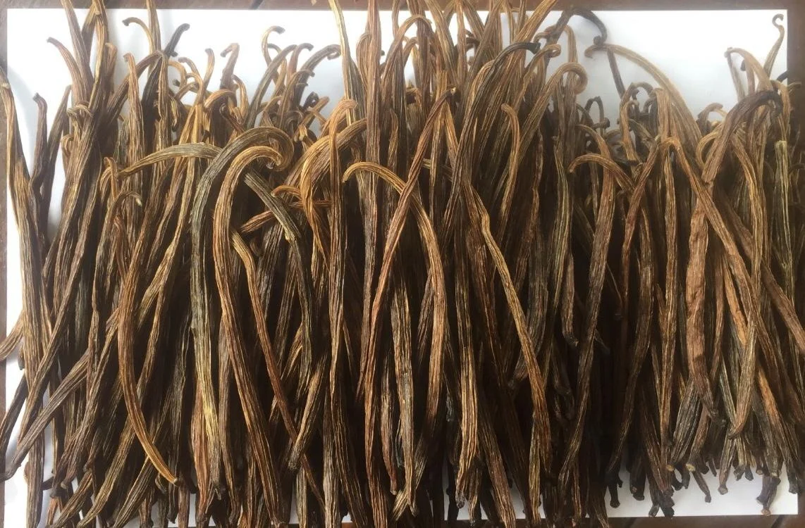 RENDAH PLANIFOLIA GRADE-3 16-17 CM VANILLA BEANS for EXTRACTION Hot Selling Indonesian Best Quality Bourbon with Best Price