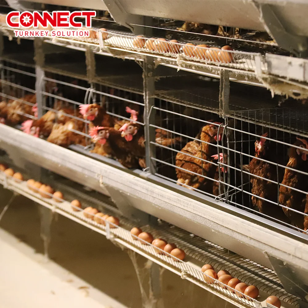 Layer Farm 7 Tier 8 Tier H Type Poultry Farm Cage Design Egg Layer Hens Cages Chicken Laying Cage For Completely Automatic
