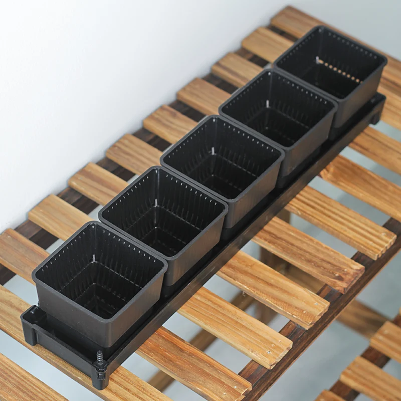 plastic growing plant pots and trays bulk succulent pot cactus container on sale