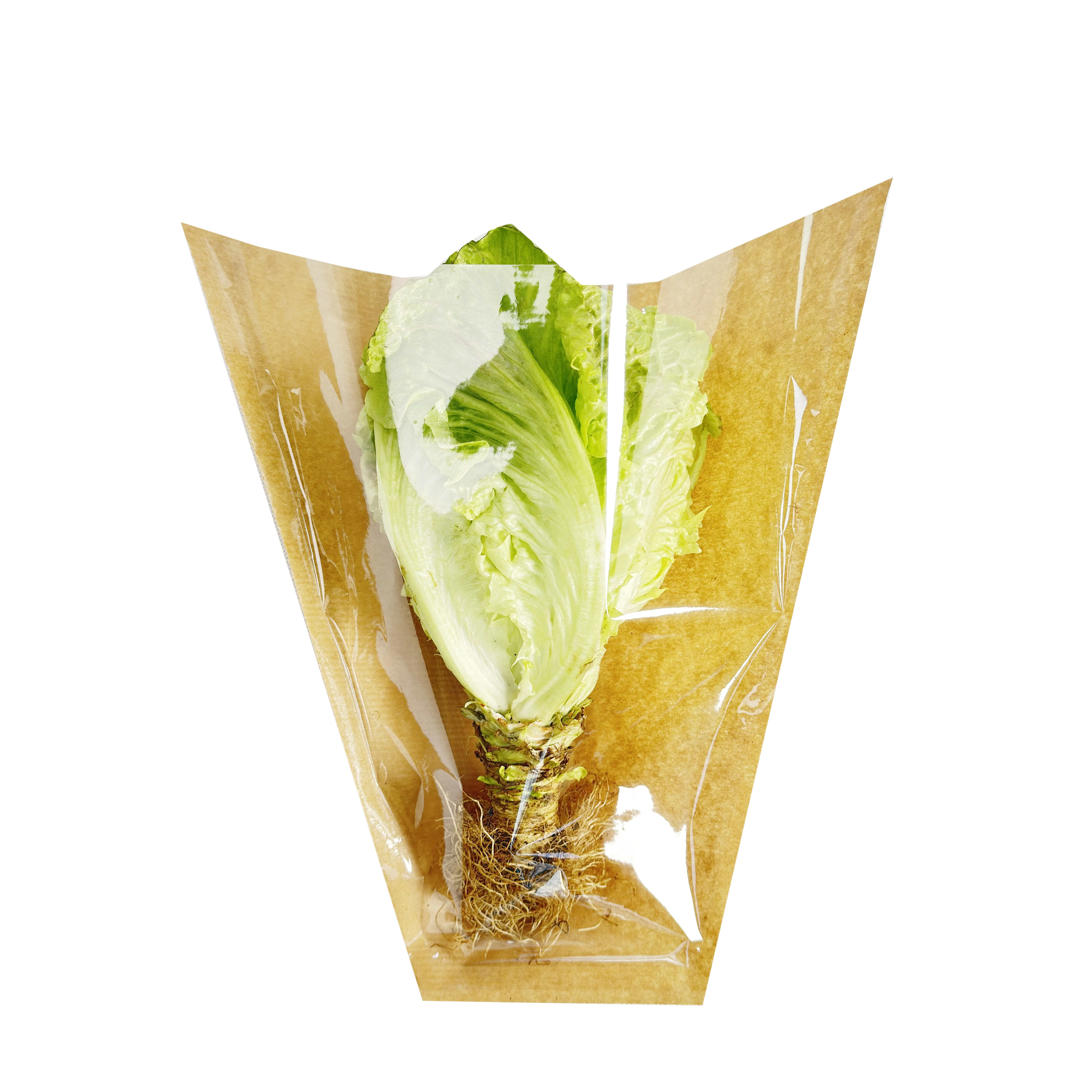 Fresh and Organic Hydroponic Lettuce for Packaging Hydroponic Farming at Its Finest Sleeves