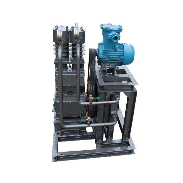 High Quality Custom Petroleum Compressor LPG Compressor for Natural Gas in Russia