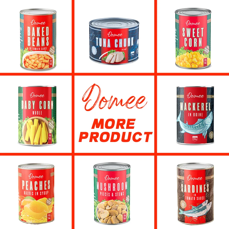DOMEE Low Price Tasty Canned Baked Beans in Tomato Sauce High Quality Canned Food