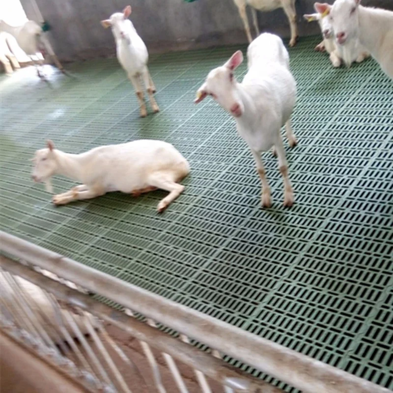 goat pen plastic shed slat flooring PP plastic flooring
