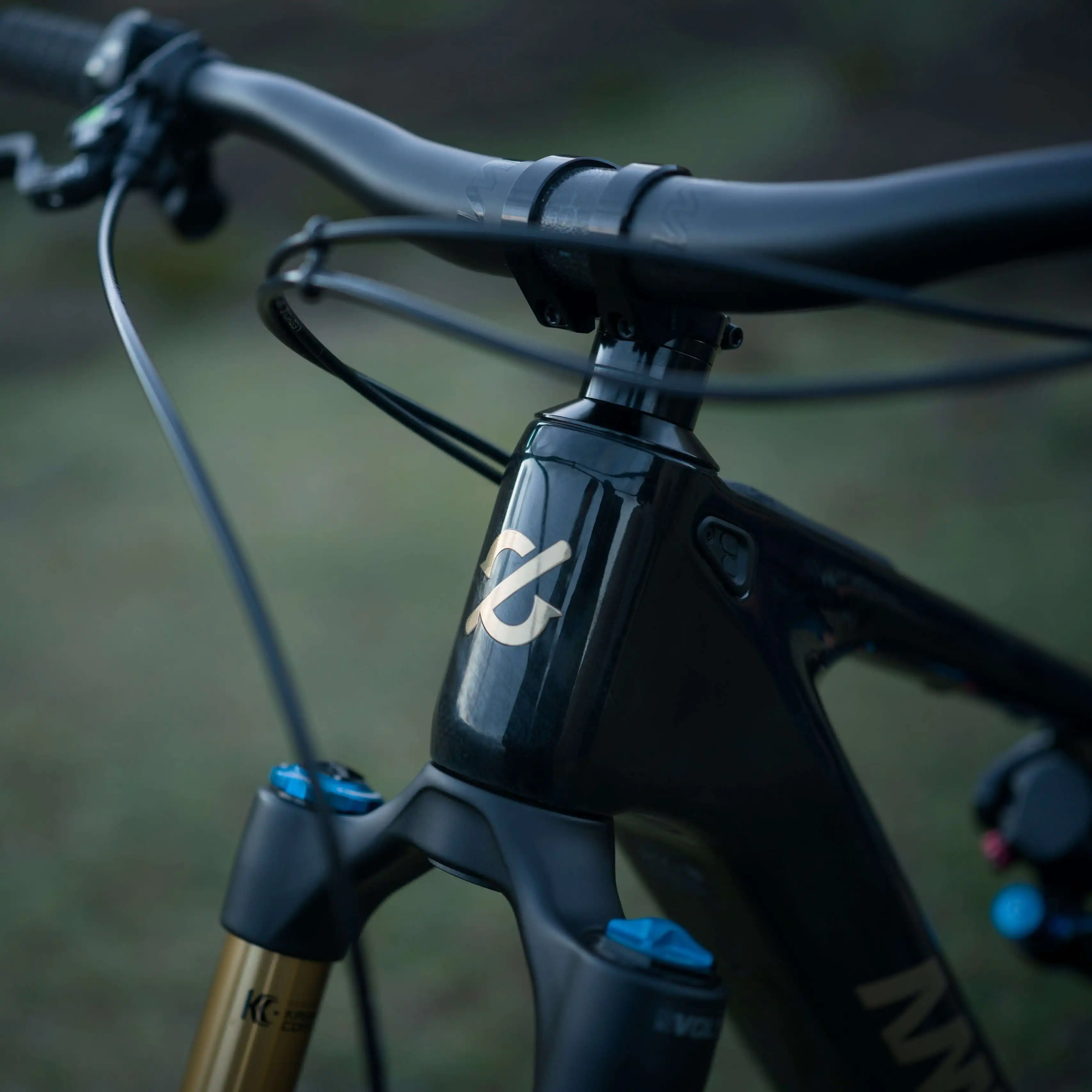 DJI Amflow PL Carbon E-Mountain Bike With DJI Avinox Drive System Built-in LED Control Display Amflow PL Full Suspension Ebike