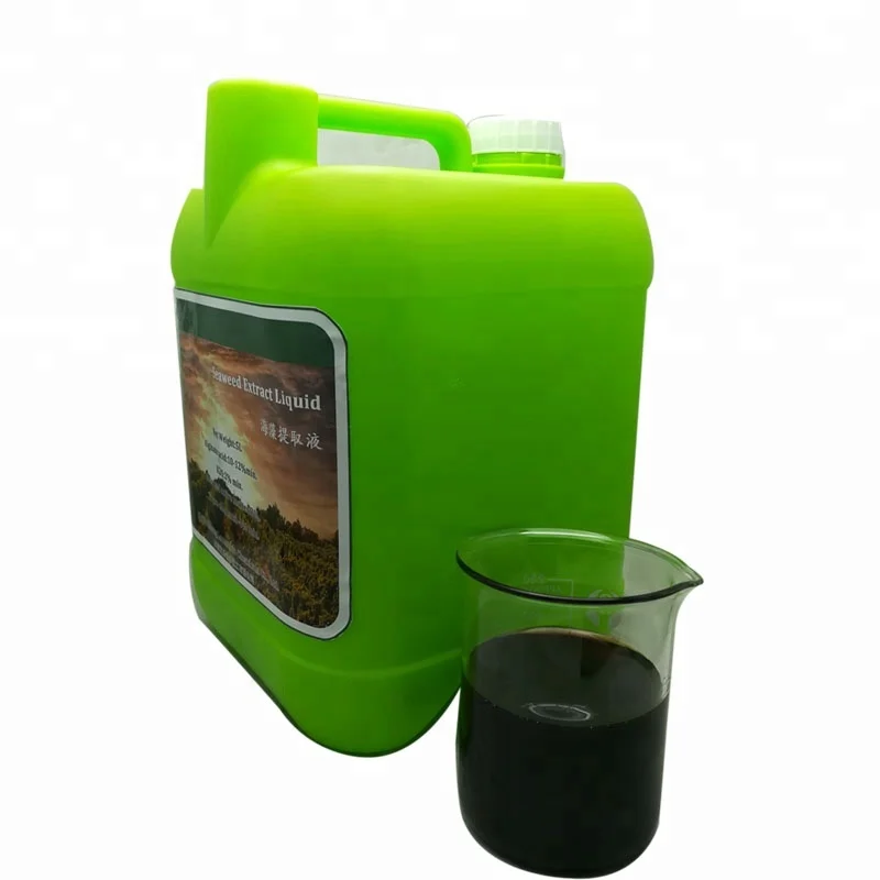 Seaweed Extract Liquid China Professional Manufacturer Organic Fertilizer Hot Sale