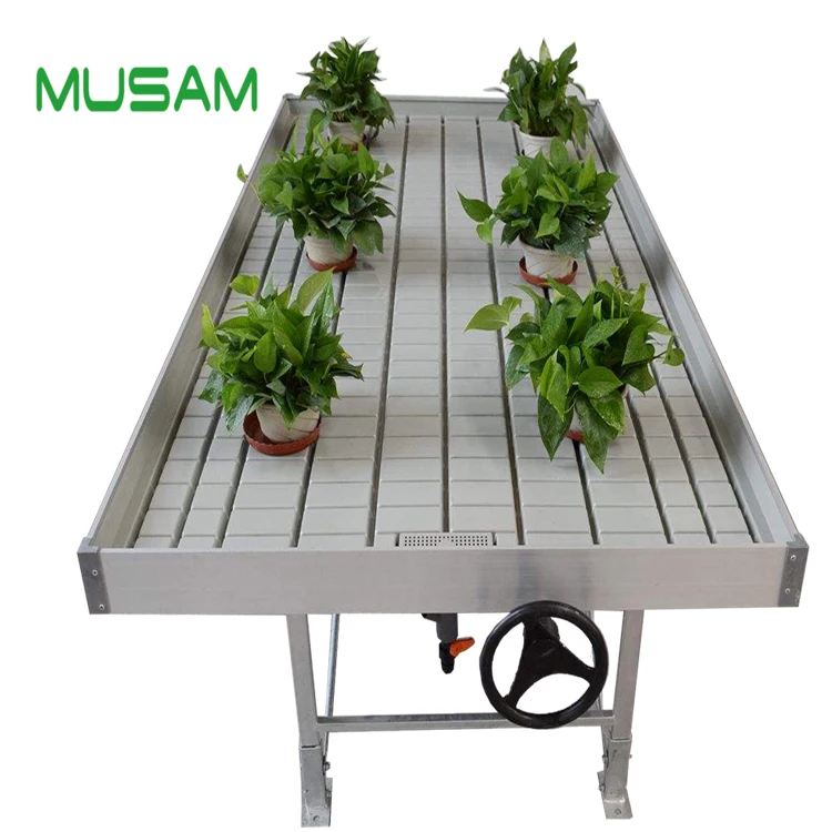 hydroponic trays 4X8 water bed growing bench