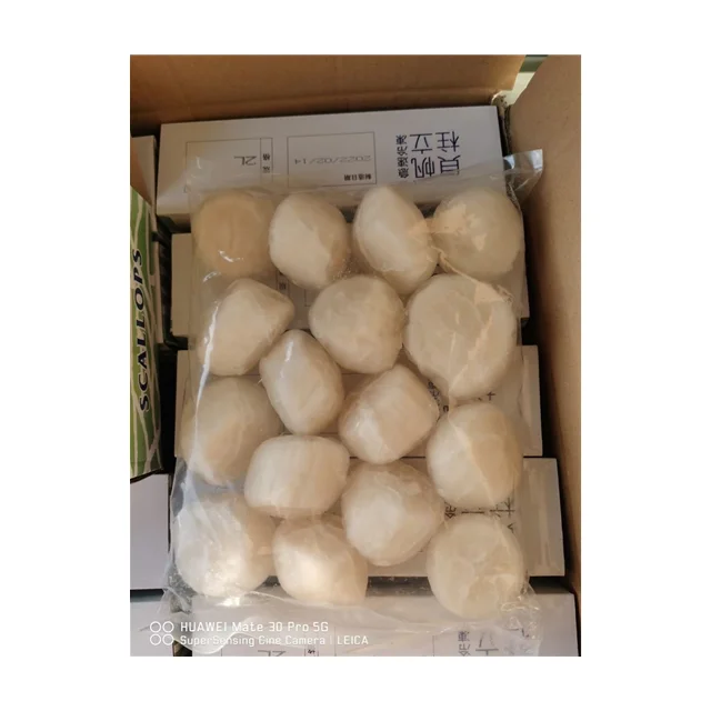 Wholesale Prices Frozen hotate Sea Scallop Meat roe off japan