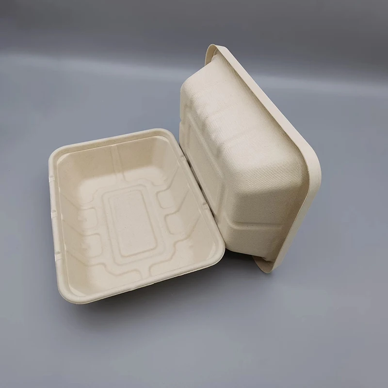Manufacture Factory compostable Biodegradable Bagasse Packaging disposable sugarcane Buger pulp paper box