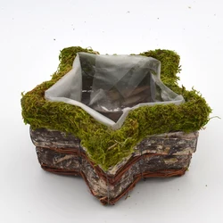 new design home decor star shape Moss kettle flower pot handmade flowerpot ornamentation