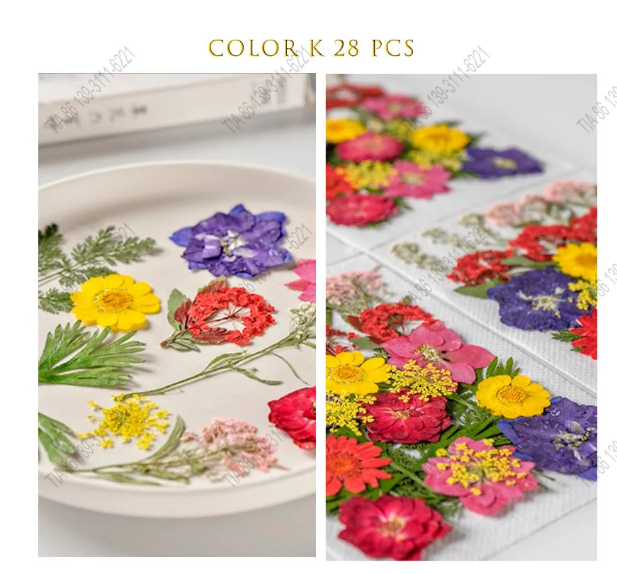 cheap 28pcs Pressed Flowers Dried Flowers for Resin Decor Crafts, Natural Dry Flowers Leaves Bulk Kit for DIY Scrapbook, candles
