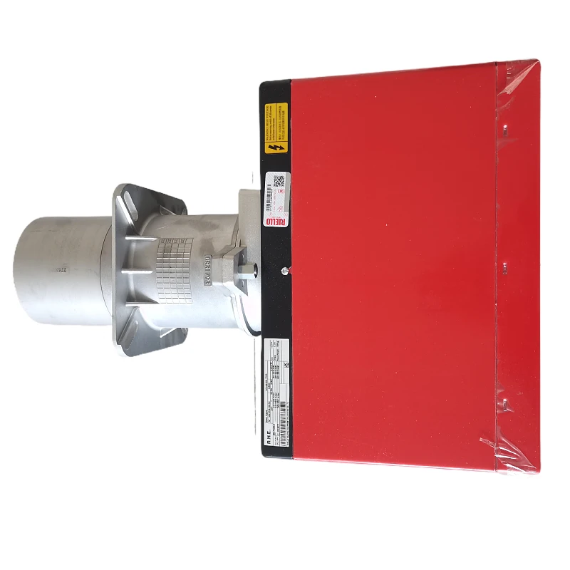 Original Italy Riello40 FS20 Gas Burner