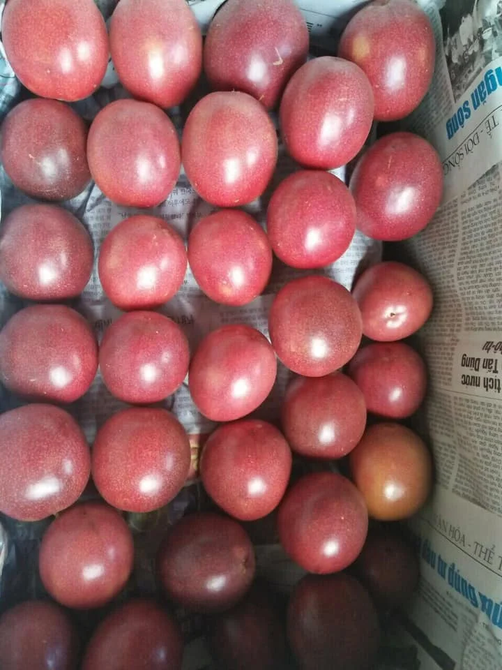 IQF - Frozen Golden Passion Fruit from Vietnam - Export wholesale High Quality (Certification: GAP, HACCP...) - 100% Organic