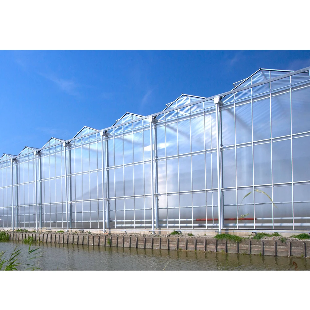 Glass factory tempered Greenhouse glass