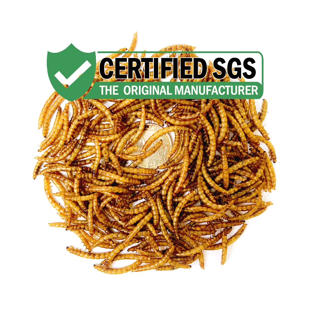 Wholesale High Nutrition Top Grade Pet Food Hamster Food Mealworm Bird Food Dry Mealworms