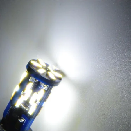 UNJOYLIOD Car Canbus Lighting 194 W5W 168 T10 30smd 4014 LED Auto NO Error Wedge Light Width Clearance Lamp Parking Bulb 12V